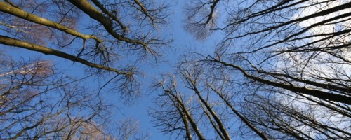 Stacks Image 1684
